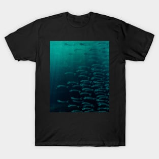 Anatomy Of A Fish - The Whole School Underwater T-Shirt